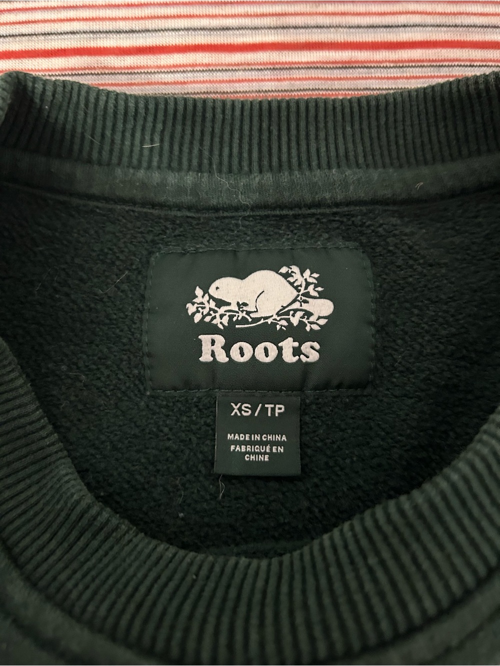 Roots Women's Crewneck Sweater in Dark Green